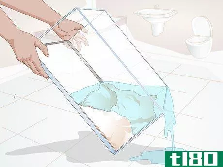 Image titled Clean a Turtle Tank Step 5
