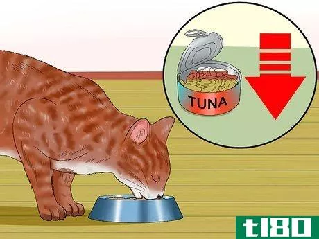 Image titled Cook for Cats Step 8