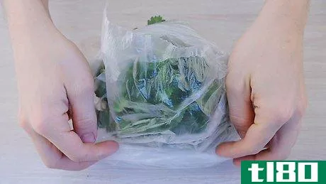 Image titled Clean Cilantro Step 9