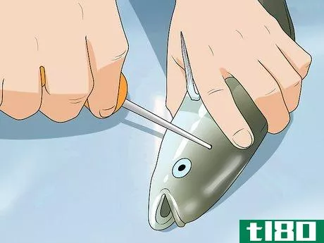 如何把鱼的内脏清理干净(clean/gut a fish)