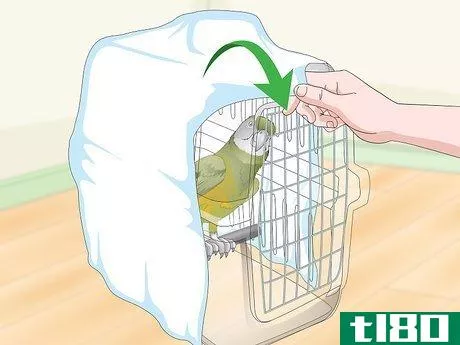 Image titled Deal with a Fearful or Stressed Senegal Parrot Step 20