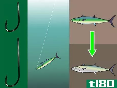 Image titled Choose a Hook for Saltwater Fishing Step 3