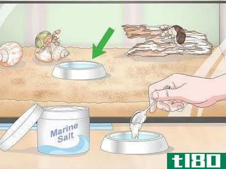 Image titled Create a Hermit Crab Habitat Step 9