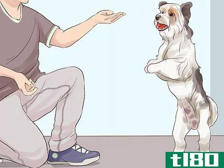 Image titled Choose a Hypoallergenic Dog Step 2