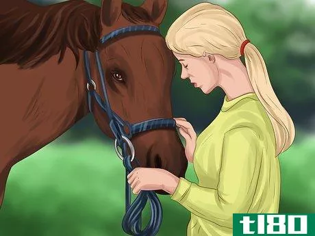 Image titled Choose a Horse for Therapeutic Riding Step 5