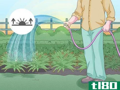 Image titled Choose the Best Time for Watering a Garden Step 1