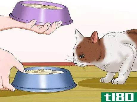 Image titled Cook for Cats Step 6