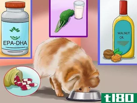 Image titled Choose All Natural Pet Food for Pomeranians Step 4