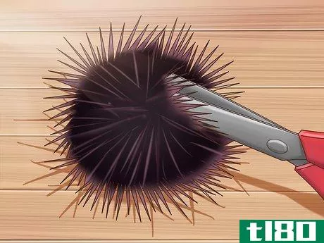 Image titled Cook Sea Urchin Step 2