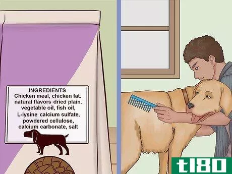 Image titled Choose Safe Pet Food Step 13