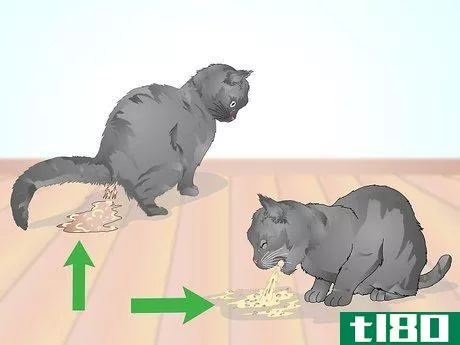 Image titled Check a Cat for Fever Step 3