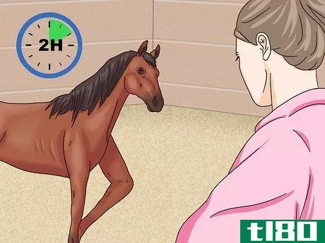 Image titled Cure Colic in Horses and Ponies Step 12
