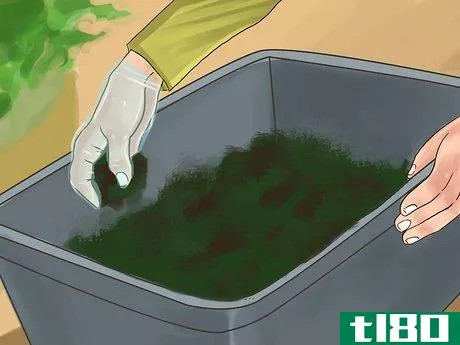 如何狗粪堆肥(compost dog poop)