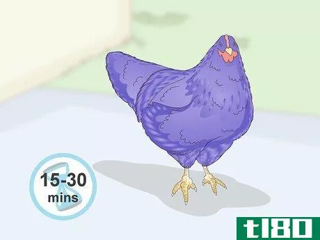 Image titled Color Chickens Step 12