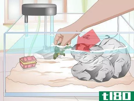 Image titled Clean a Turtle Tank Step 16