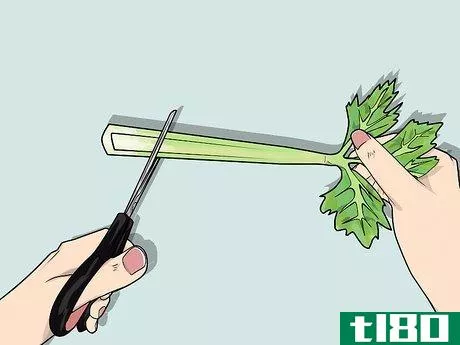 Image titled Change the Color of a Celery Stalk Step 8