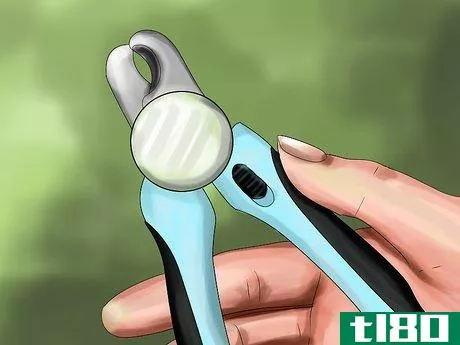 Image titled Choose Nail Trimmers for Your Cat Step 10