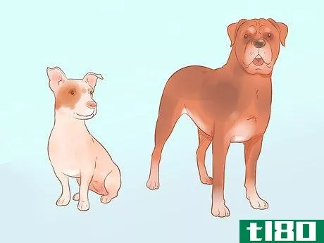 Image titled Choose a Dog Step 6