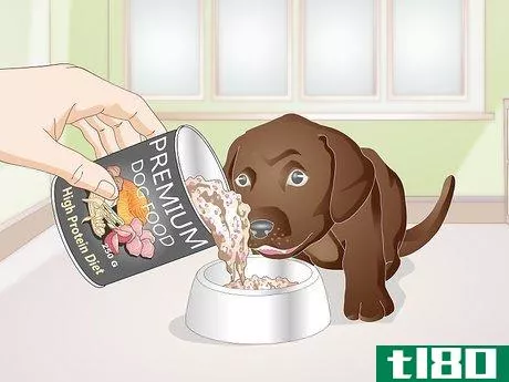 Image titled Choose Between Dry or Canned Dog Food Step 8