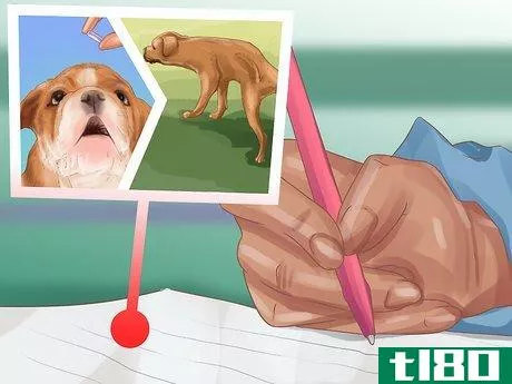 Image titled Choose the Right Care for Your Dog While on Vacation Step 8