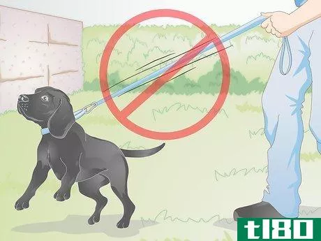 Image titled Choose a Dog Leash Step 5