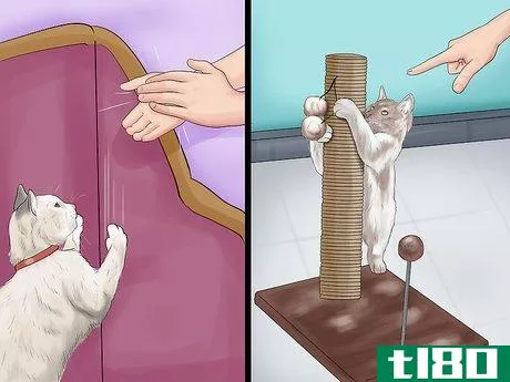 Image titled Choose a Scratching Post or Pad for Your Cat Step 19