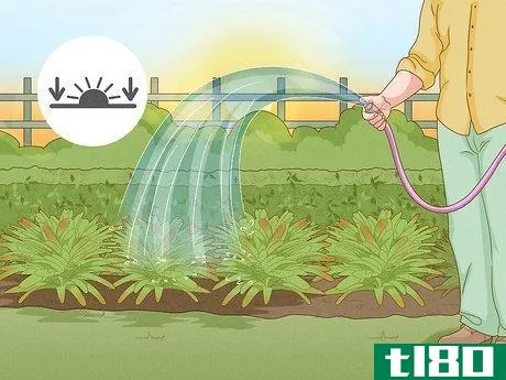 Image titled Choose the Best Time for Watering a Garden Step 2