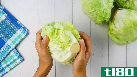 如何核心莴苣(core lettuce)