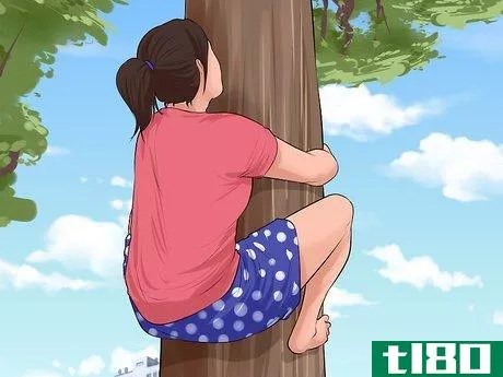 Image titled Climb a Tree Step 10