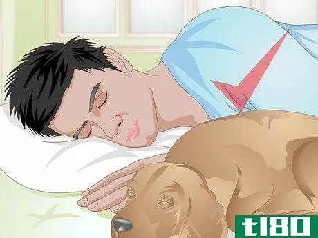 Image titled Choose a Place for Your Dog to Sleep Step 14