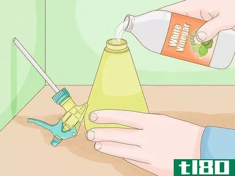 Image titled Control Slugs with Vinegar Step 1