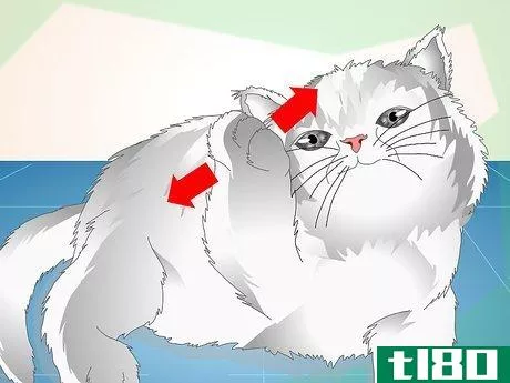 Image titled Check Cats for Ear Mites Step 2