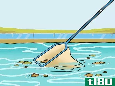 如何清理你自己的游泳池(clean your own pool)
