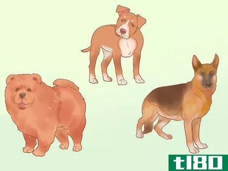 Image titled Choose a Dog Step 2