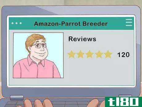 Image titled Choose an Amazon Parrot Step 10