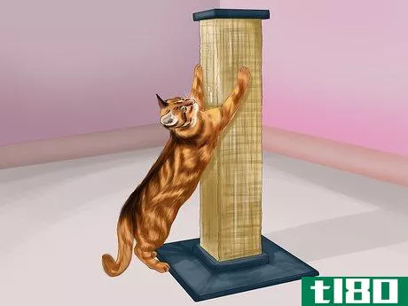 Image titled Choose a Scratching Post or Pad for Your Cat Step 4