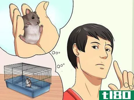 Image titled Choose a Hamster Step 4