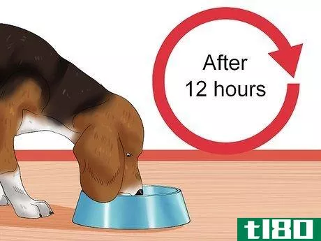 Image titled Cure Frequent Dog Vomiting Step 7