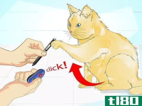 Image titled Clicker Train a Cat Step 14