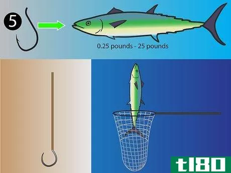 Image titled Choose a Hook for Saltwater Fishing Step 1