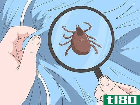 Image titled Check for Ticks Step 2