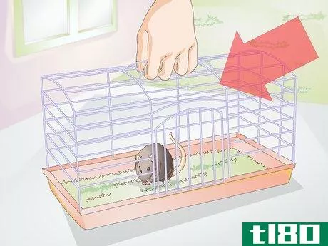 Image titled Clean a Small Pet Cage Step 3