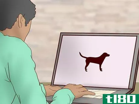 Image titled Choose the Right Dog for Your Family Step 10