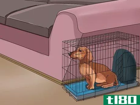 Image titled Crate Train Dachshunds Step 13