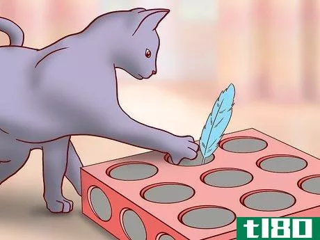 Image titled Choose Toys for a Senior Cat Step 7