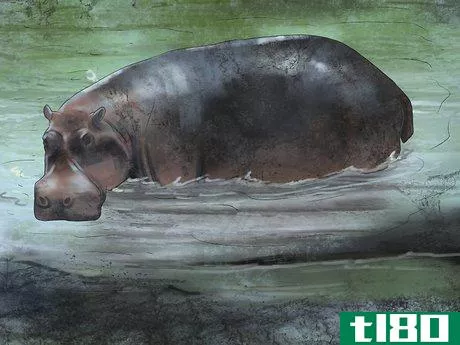 Image titled Deal With a Hippo Encounter Step 2