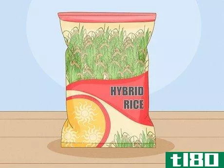 Image titled Control Pests in Rice Step 1