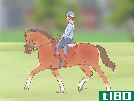 Image titled Choose a Riding Style or Equestrian Discipline Step 3