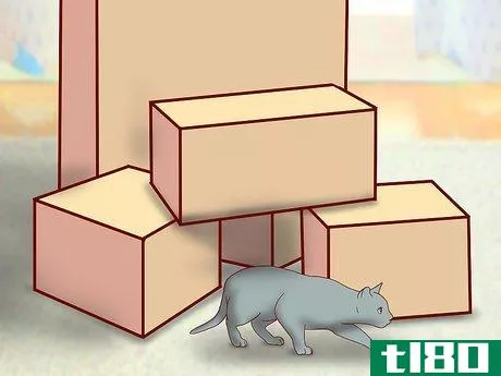 Image titled Choose Toys for a Senior Cat Step 4