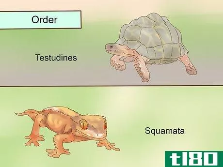 Image titled Classify Animals Step 8